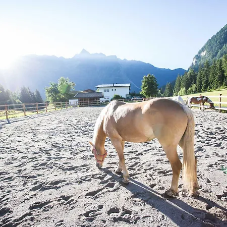 Gospodarstwo agroturystyczne Aktiv-ferienwohnungen Pienz-bobnar *