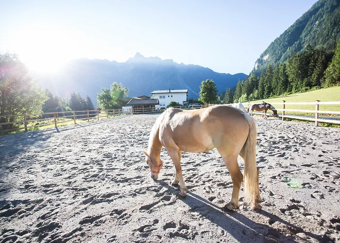 Farmház Aktiv-ferienwohnungen Pienz-bobnar *