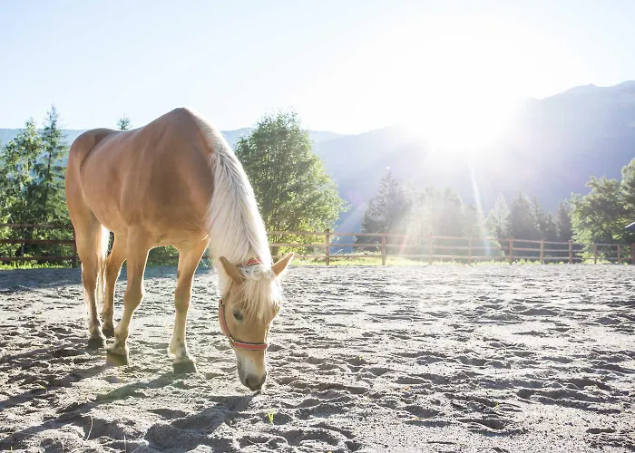 Aktiv-ferienwohnungen Pienz-bobnar Farmház