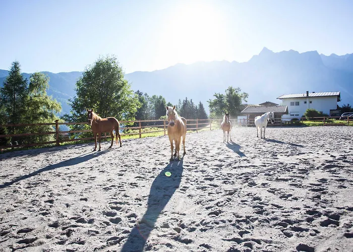 Aktiv-ferienwohnungen Pienz-bobnar Farmház *