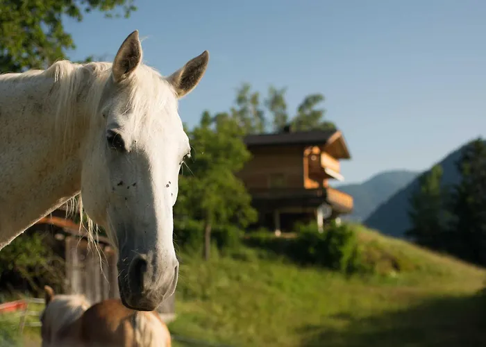 Aktiv-ferienwohnungen Pienz-bobnar