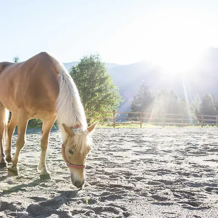 Aktiv-ferienwohnungen Pienz-bobnar مزرعة للإقامة