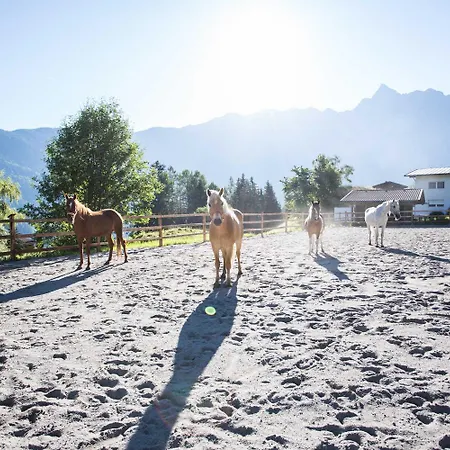 Aktiv-ferienwohnungen Pienz-bobnar בית חווה *